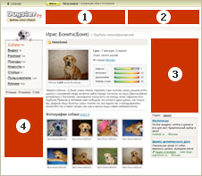 Реклама на exokna.ru